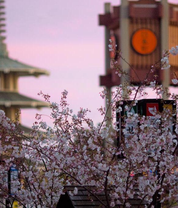 restaurants, retail stores and entertainment venues Little Tokyo boasts a bustling 7 day trade with over 135,000