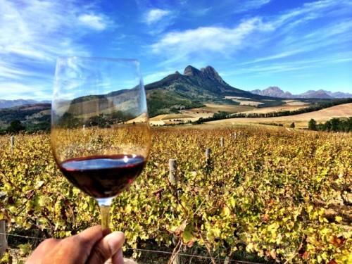 winery in the Stellenbosch region, where we will have an opportunity to blend our own wine, this is a fun interactive opportunity to learn about wine while being active participants in the outcome of