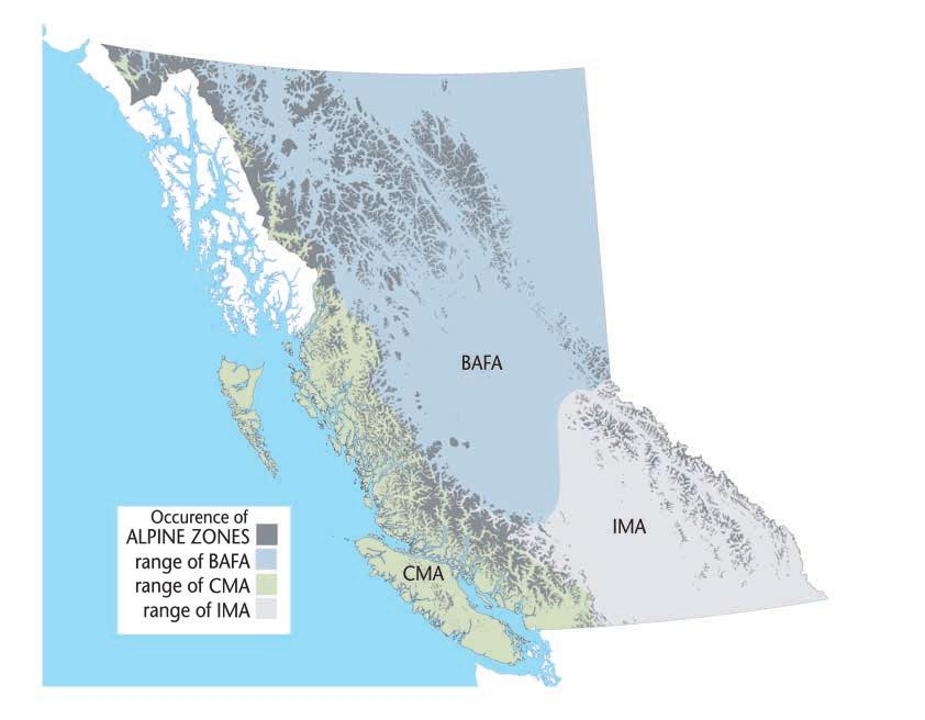 The Alpine Zones of British Columbia cover photo: The alpine occurs at high elevations throughout British Columbia and has the harshest climate of any of the biogeoclimatic zones in British Columbia.