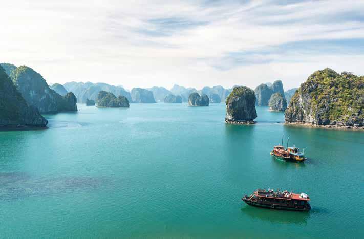 Cruise through Halong Bay in Vietnam Ophthalmology and Eye Care in Vietnam 17 February 28 February 2019 With extension to Angkor Wat, Cambodia 17 February
