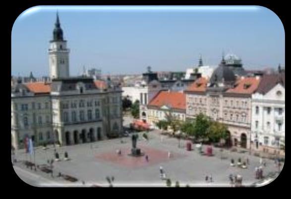 H O S T C I T Y N O V I S A D Novi Sad (NS) is the administrative, economic,