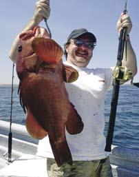 Any doubt about fishing in Panama? Forget it! Panama has more than 40 IGFA world records and 24 junior world records!! We can offer you 3 unique fishing packages: 1.