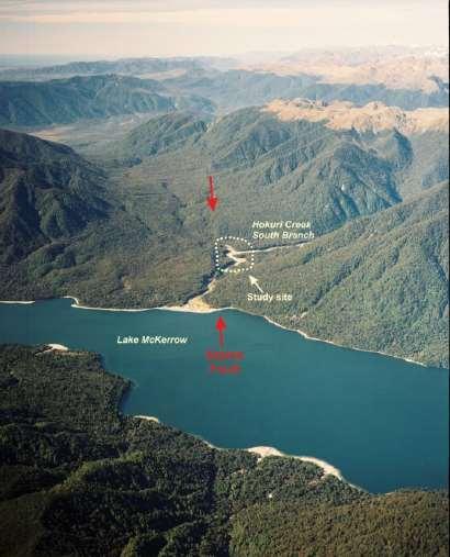 Hokuri Creek Evidence for past Alpine Fault quakes
