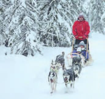 traditional Arctic activities in Santa s magical winter wonderland.