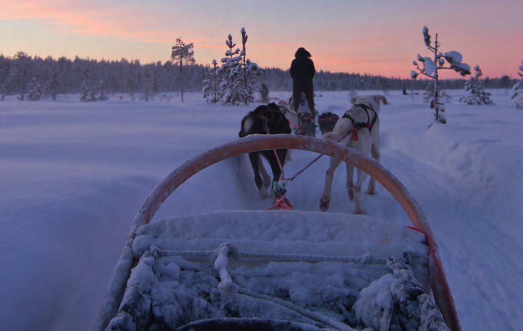 For more information please visit To book call 01923 822388 Lapland Arctic