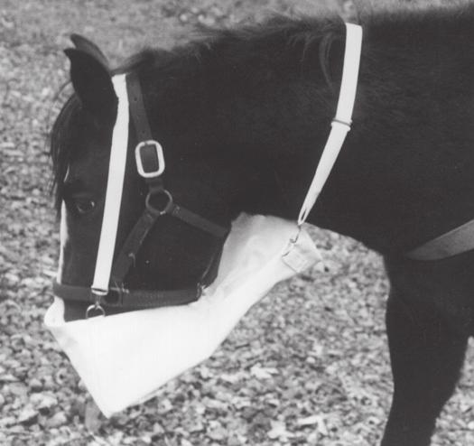 3 lbs. Cat# TC505 $40.00 NOSE BAGS - BUCKET STYLE NOSE BAGS - CALVARY STYLE A nose bag that is made of quality material and well built. It is both large enough and sturdy enought for a real horse.
