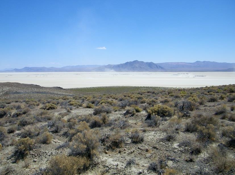 The Black Rock Desert Playa plays host to Burning Man every year.