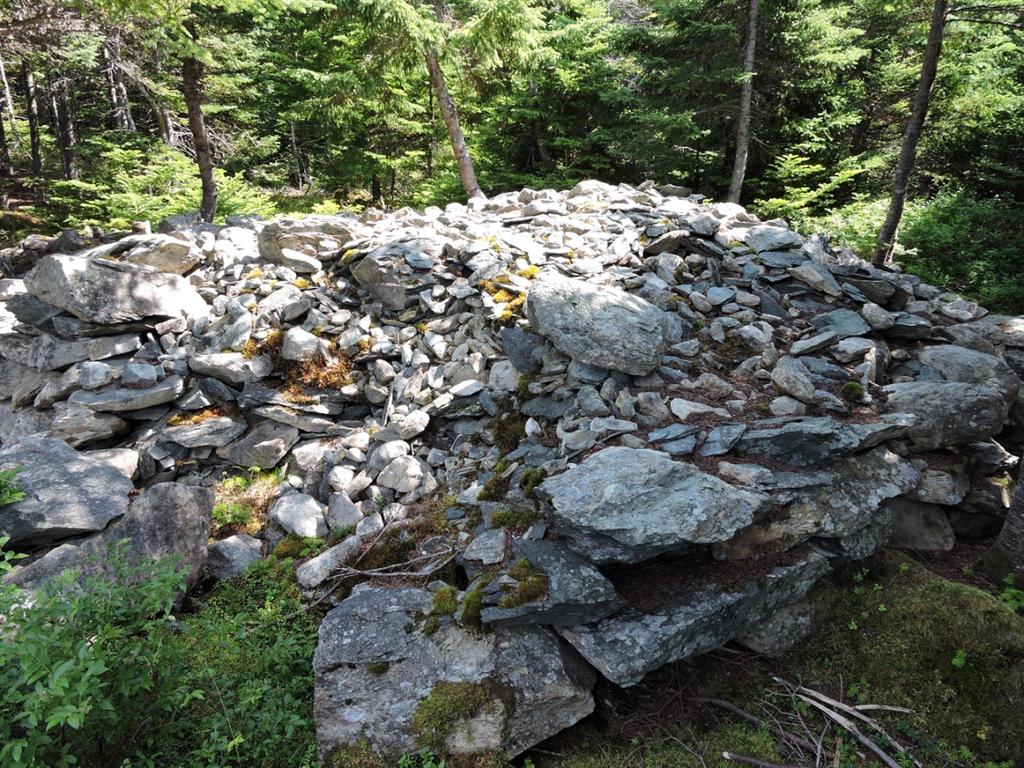 Figure 1 A large stone feature located along an unfinished cart road north of Hant's Harbour.
