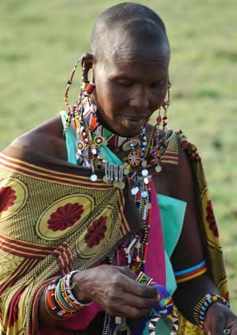 As you enter the Ngorongoro Conservation Area you will begin to see Maasai enkangs ( homesteads ).