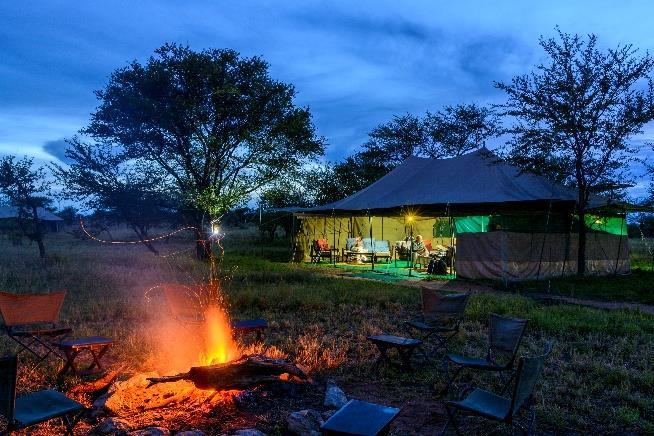 Our camps Serengeti Wilderness Camp (permanent camp), Serengeti North Wilderness Camp and/or Ndutu Wilderness Camp (seasonal camps) are located inside the national park and conservation areas