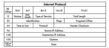 4.2.1. Format IPv4 datagrama Izvorišna i odredišna IP adresa predstavljaju ključne komponente IPv4 datagrama, ali to je samo deo informacija koje možete naći u IPv4 datagramu.