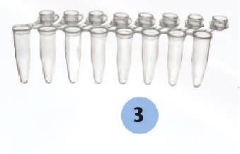 2 ml PCR Natural, Attached Natural, Attached Pure Plus Strips.