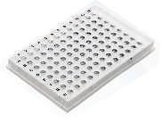 3977-520 3978-520 3972-520 3961-520 Description 96well PCR Plates 96well Skirted 96well Half Skirted 96well PCR Plates with printed Alpha PCR Plates, Alpha PCR Plates, Alpha for ABI Fast7500, Numeric
