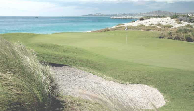 A masterpiece in 18 holes The best golf course in Los Cabos sits at your doorstep when staying at the JW Marriott Los