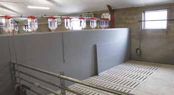 Due to the inclined shape of the trough at the back, the troughs remain cleaner in comparison with round