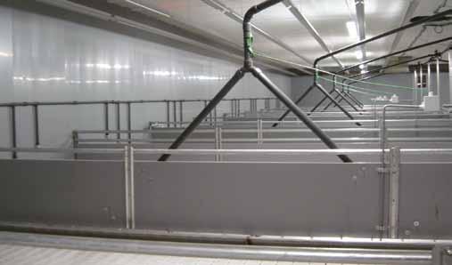 galvanised tubes: Pen partition: trough walls: none none Stainless steel profiles: steel