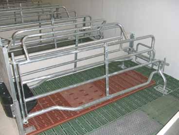2.1. Europe The most frequently applied farrowing crate, including finger bars, anti-crush bars,