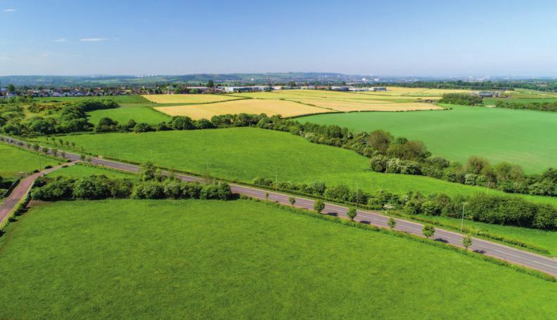 85 acres or thereby comprising predominantly of forage grass with a strip of amenity woodland alongside the Ravel Burn. The land is classed as Grade 3.