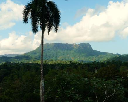 Day 5 This morning we will visit the outskirts of Baracoa and visit a fjord and a remote fishing village along with other ecological sites of the area, including the famous twin trunk coconut tree