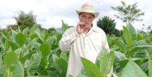 Fri Apr 13: Private Tobacco Entrepreneurship Experience Your educational exchange continues as you transition through the lush UNESCO BIOSPHERE to the valley of Pinar del Rio where you ll find the