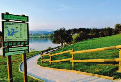Za Mestno občino Celje so značilne zelene cone, zeleni koridorji, ki obkrožajo urbani del občine, in sicer na severnem delu, območje Šmartinskega jezera s primestni gozdovi, na južnem delu Grmada s