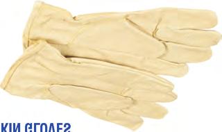 latex glove For general