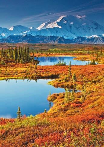 This itinerary will treat you to places of pristine wilderness and exquisite beauty, from Denali National Park, with its snowy mountains and sweeping vistas, to the
