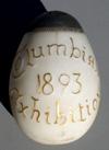 Estimate: $ 60 - $ 80 0 Lot # 68 - White Milk Glass Salt Shaker made by Libbey with embossed lettering "Columbian 1893 Exhibition" in gold. Size: 2 3//4" long by 1 3/4" wide.