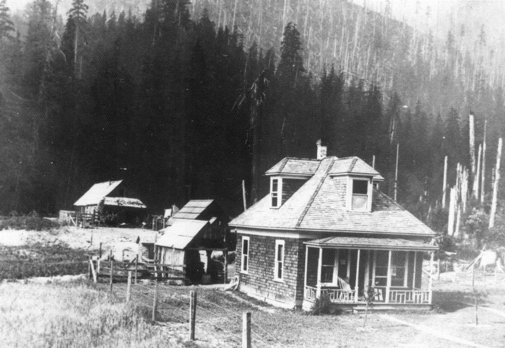Silverton Nursery The USFS established a nursery near Silverton, to raise seedlings needed for repairing the ravages of