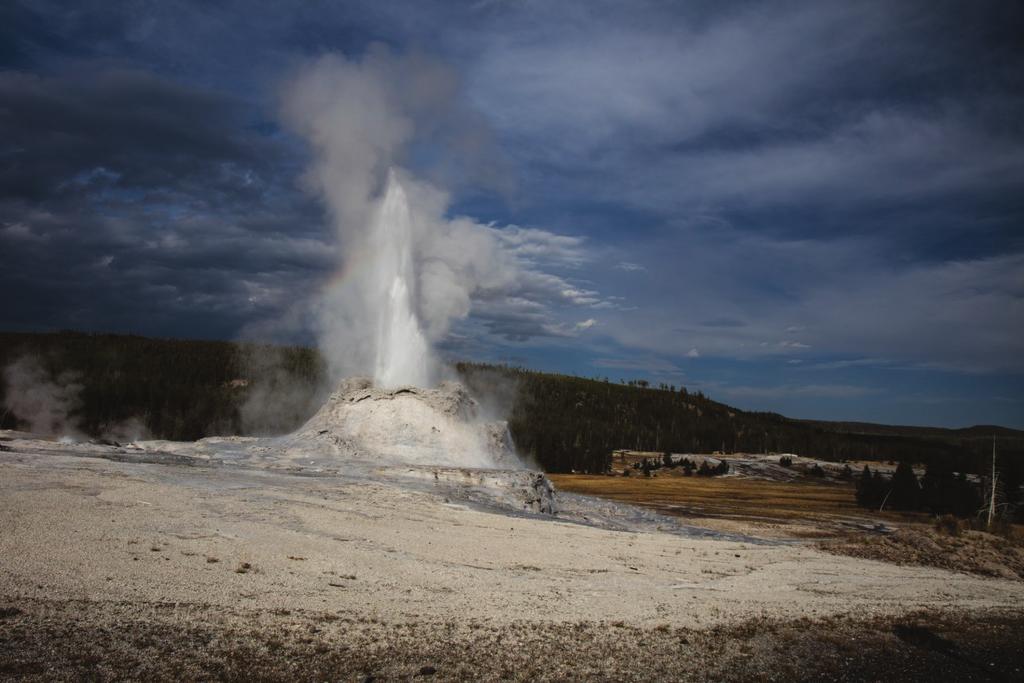 Trip Overview Yellowstone is without doubt one of the most diverse and unique natural habitats in the world and is the largest single intact ecosystem in the United States.