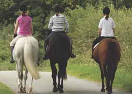 The Loop Accommodation Providers Akesmere Bed & Breakfast OS Grid Ref. SJ589/669 B&B for horse and rider. Chester Road, Little, Tarporley, Cheshire CW6 9ER Tel: 01829 760348 www.akesmerefarm.co.uk Useful Businesses Equestrian Escapes Tailor-made horse riding holidays in Cheshire.