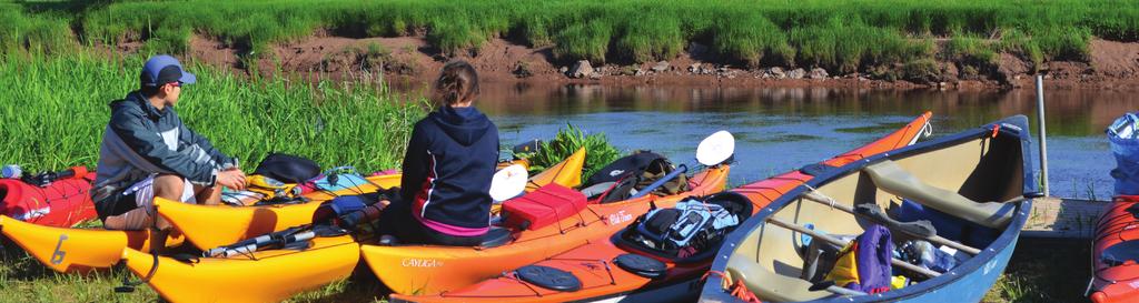 GET OUTSIDE 10 mins 30 mins TO GRAND LAKE BEACHES AT OAKFIELD PROVINCIAL PARK AND LAURIE PROVINCIAL PARK TO THE ATLANTIC OCEAN OR BAY OF FUNDY: BEACHES, SURFING AND SANDCASTLES SHUBENACADIE