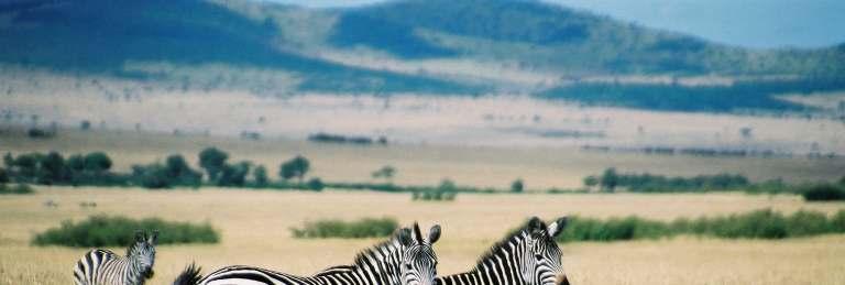 Africa on a safari which encompasses the