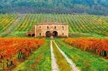 Brunello, for a Tuscan-like retreat. Overnight at Castello di Velona Resort, Thermal Spa & Winery 5* (Montalcino, Siena).