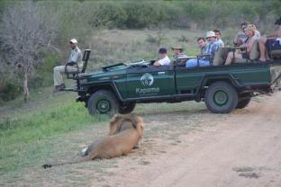 Your days on safari will run more or less as follows. 5:00AM 5:30AM 9:00AM At leisure 1:00pm 3:30PM 4:00PM 7:00PM Wake-up call Morning game drive departs after tea/coffee and light refreshments.