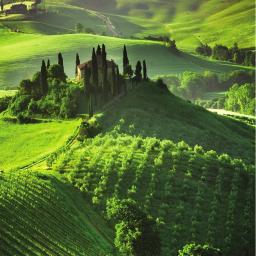 Page 3 It s Vintage Italy The rolling hills of Tuscany are home to sprawling vi neyards, charming medieval hill towns and enchanting cities steeped in history, culture and