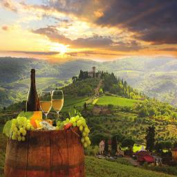 Enjoy fabulous local wines and the region s famous cuisine. This is Tuscany as you always imagined it. Deposits due October 1st.