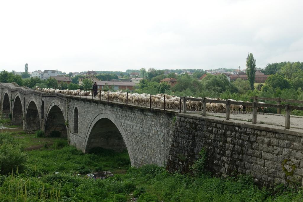 Many sheep and their shepherd crossed an old Ottoman bridge near Bishtazhin, Kosovo.