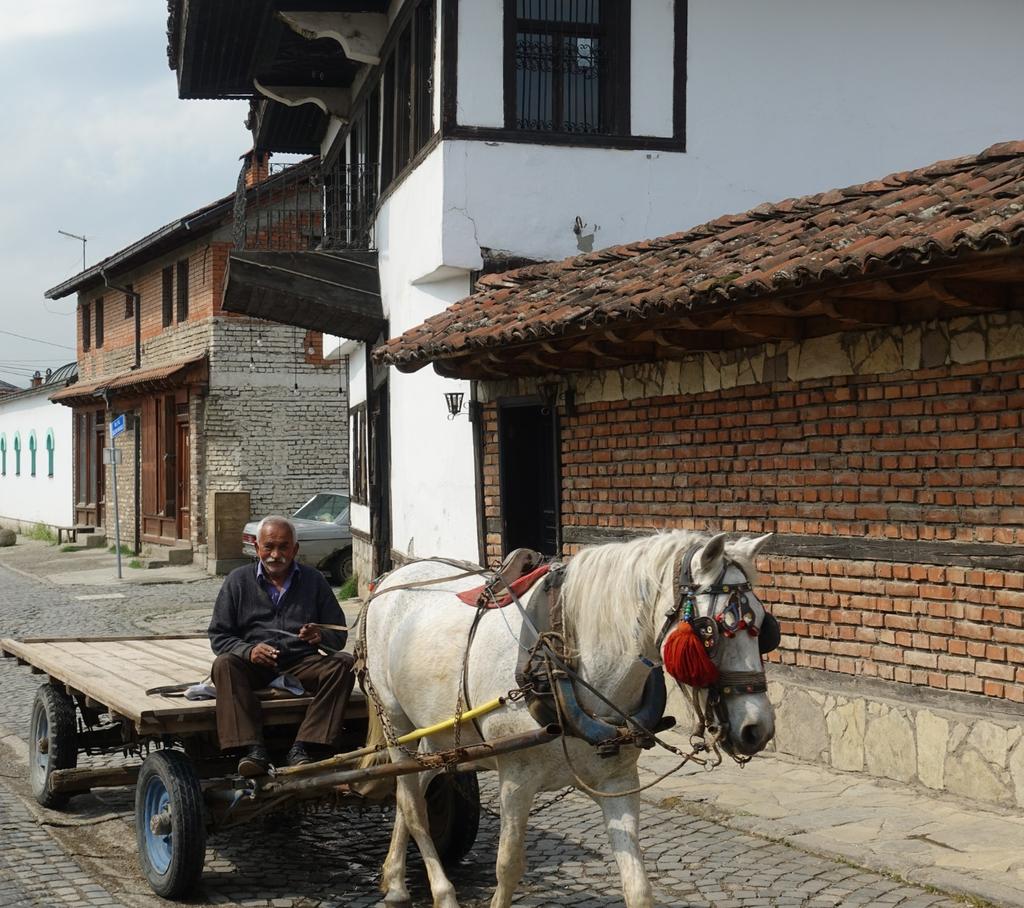 They still use horse carts in the Kosovo countryside. Lunch that day was out in the country at a place called Gryka e Deçanit.