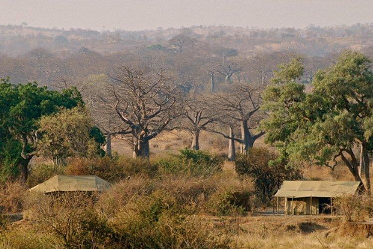Set in a secluded grove of Kigelia Africana or 'Sausage' trees, high on the banks of the Ifuguru Sand River in the Ruaha National Park, Kigelia is an exclusive and totally secluded camp.
