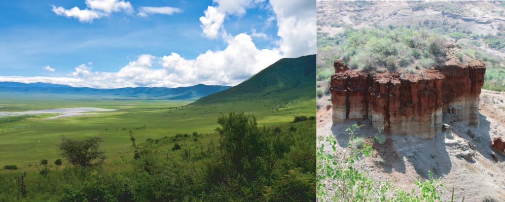 Ngorongoro conservation area covers over 5149 sq miles and one of the most spectacular sights you are ever likely to see while on safari lies in the Ngorongoro Crater.