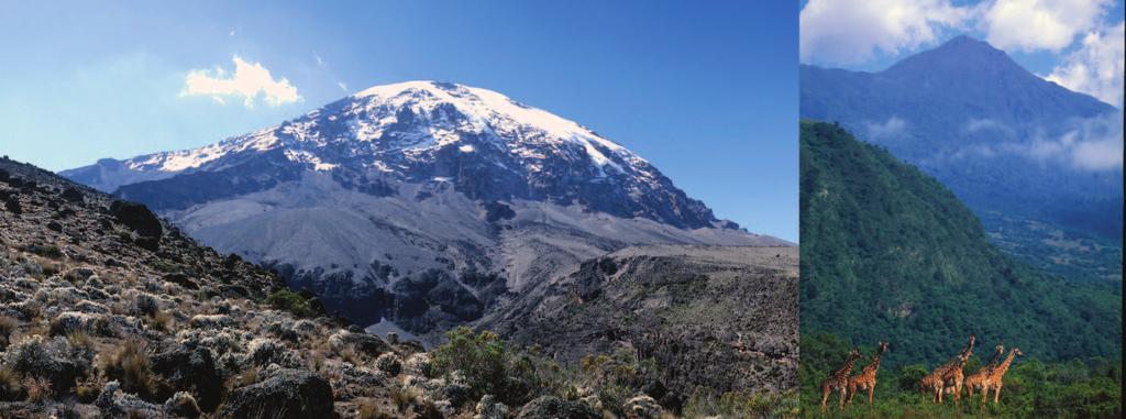 Kilimanjaro is one of the world's most accessible high summits and the hightest free standing mountain in the world, a beacon for visitors from around the world.