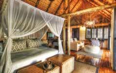 YOUR ACCOMMODATION Inside Lounge Outdoor Dining on the Lodge Barge Guest Tent Dining Room Camp Moremi, Moremi Game Reserve Peeking out from under a lush green woodland canopy,
