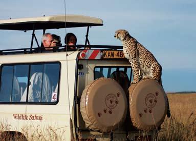 Each guide has only four or six guests for the entire safari, depending on the type of vehicle, and provides a very personal experience.