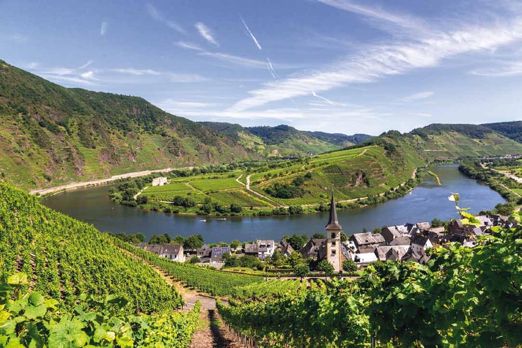 Rhine and Moselle DCS Alemannia 6 days Rhine and Moselle Germany p.
