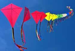 generate moral values with the enlightenment of the inner soul. Makar Sankranti (14 January) Makar Sankranti is celebrated across South Asia in a myriad of cultural forms.