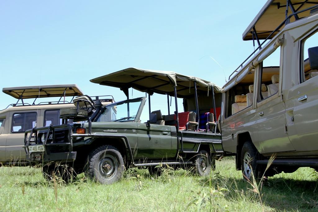 Fly-in and Drive-in stays Intimate Camps can also be booked as flying Safari destinations with both airstrip