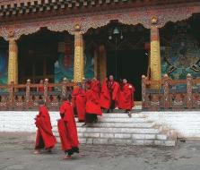 Chomolhari Paro Sikkim Tibet Shodu Thimphu Bhutan trip cost Joining Paro: $3520 All prices are per person options & supplements Single Supplement: $140 World Expeditions does not require single