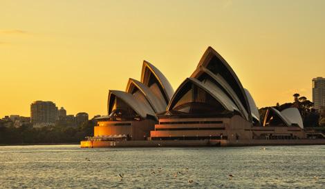 Sydney is an extremely diverse city and is home to many ethnic and cultural groups, the largest of which include British, Chinese, New Zealanders, Vietnamese, Lebanese, Filipino, and, Italians.