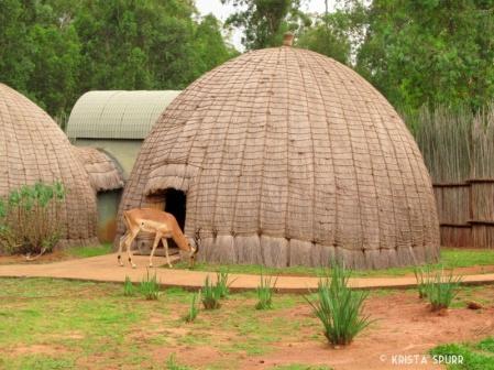 reserves. We will be accommodated in traditional beehive grass huts tonight.